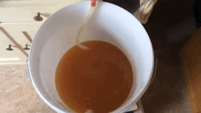 2015-06-10 09.08.28.gif