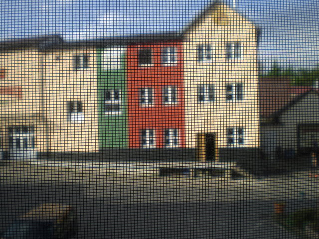CIMG2263.JPG