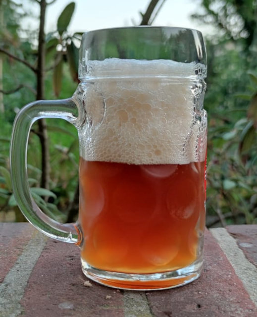 Nach einer Woche Kaltlagerung: Beim Einschenken war ich so nervös, dass ich vergaß, die Flasche schräg zum Glas zu halten. Vermutlich daher die hohe Schaumkrone, über ich die mich jedoch keinesfalls beschweren mag. Was für ein Anblick! Das Bier ist prächtig! Schön trüb, mit einer tollen Farbe - ein tiefes Bernstein mit einer feinen Röte. Der Antrunk ist würzig und süß, ohne mastig zu sein. Im Gegenteil, sowohl in der Nase als auch am Gaumen findet sich eine feine Hopfenherbe, welches das Bier schön ausbalanciert. Und bei aktuell mehr als 30° Außentemperatur eine Erfrischung. Ich bin stolz und gespannt, wie das Bier sich mit weiterer Lagerung entwickeln wird. Danke an Peter Stix für das Rezept!
