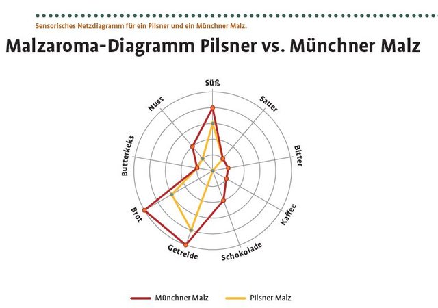 Netzdiagramm Malz.JPG