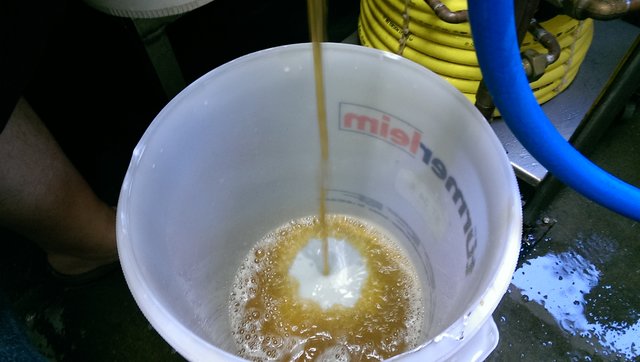 IMAG0553.jpg