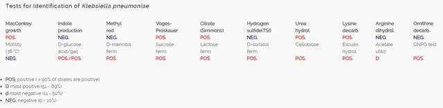 Klebsiella Tests.JPG