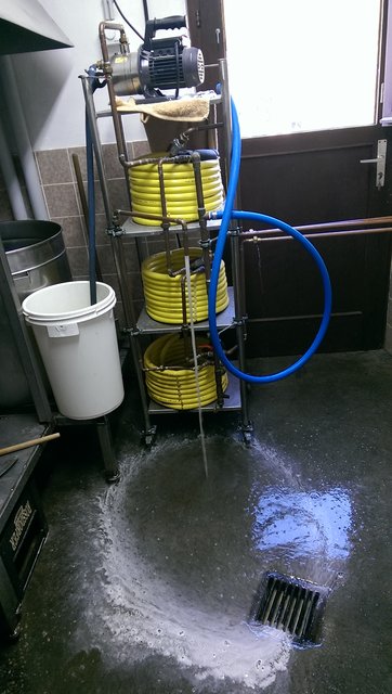 IMAG0556.jpg