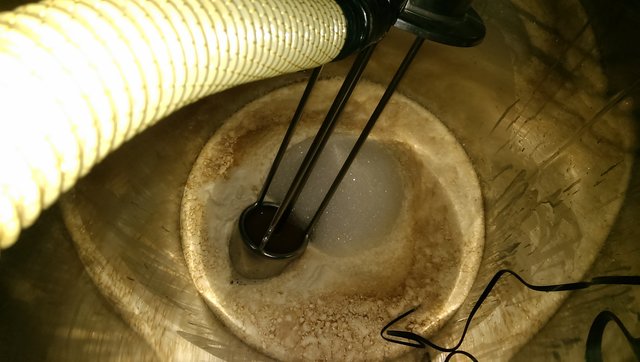 IMAG0580.jpg
