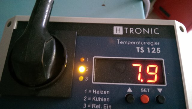 IMAG0581.jpg