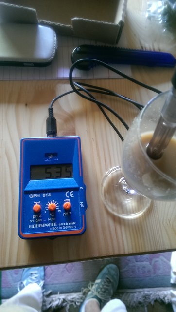 IMAG0599.jpg
