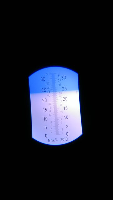 IMAG0601.jpg