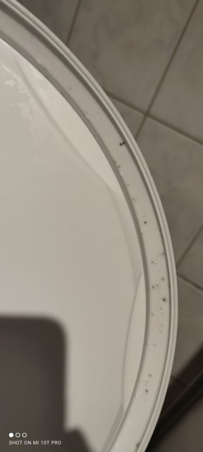 Schimmel am Deckel.jpg