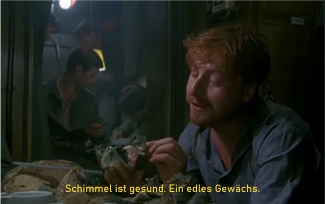 Schimmel ist gesund.JPG