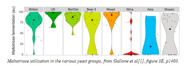 Maltotriose Utilization.JPG