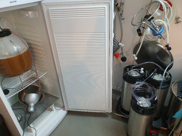 20210724_115309.jpg