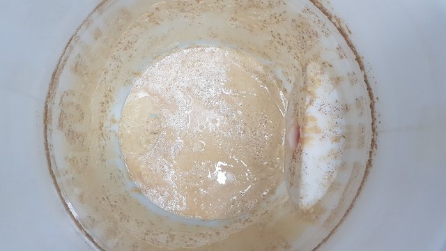 20210812_122143_resized.jpg