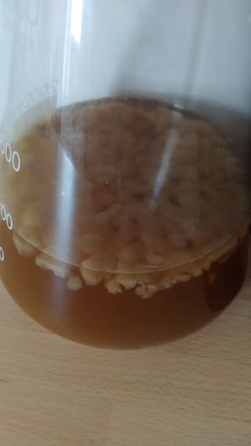Hefe-02.jpg