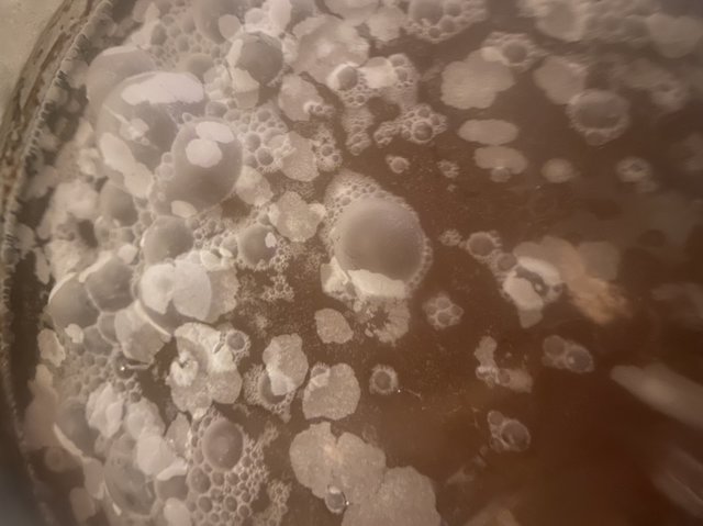D556E935-C06B-4CF1-9125-9748358C7C1B.jpeg