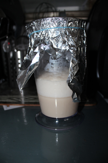 Die Gozdawa Old German Altbier. Mit Zuckerwasser "scharf" gemacht