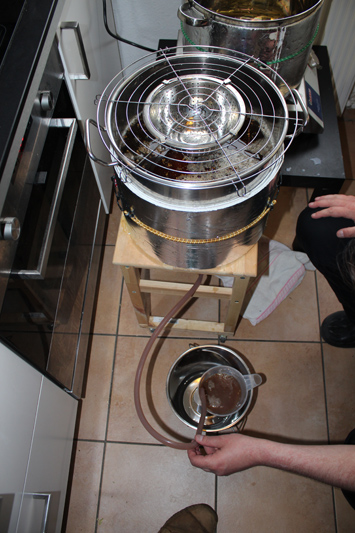 Trubwürze ziehen...