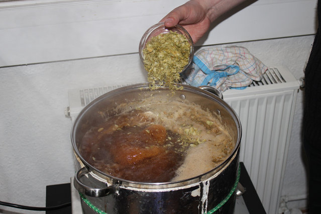 018_zweitehopfung.jpg (196.79 KiB) 4511 mal betrachtet Offizieller Kochbeginn, nochmal Hopfen reinknallen.