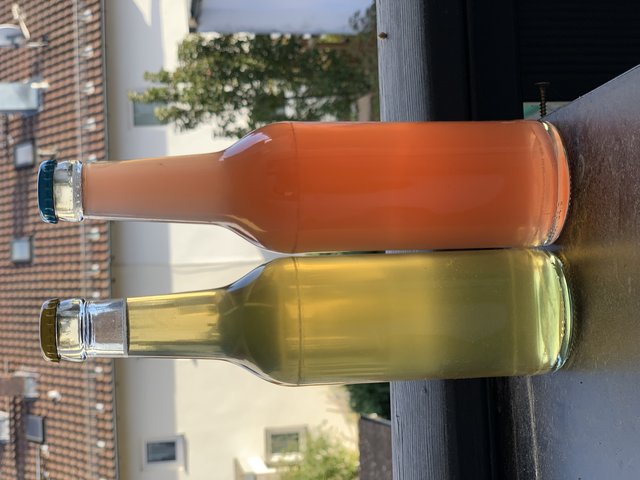 Links: Grünhopfen Ale, Rechts: Hibiskus Kettle Sour
