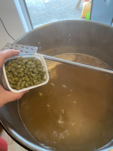 hofengabe 2v3 cascade.jpg
