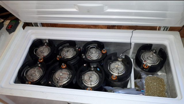 20211225_154028.jpg (373.03 KiB) 2863 mal betrachtet Beko 284L fast voll