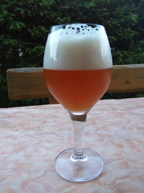 Fruity Saison PA mit Citra