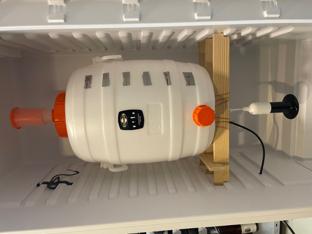 Kühlschrank mit Wärmelampe und Inkbird