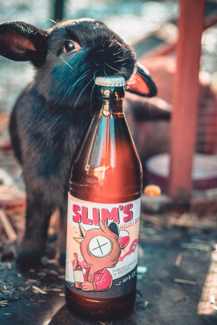 slims2.jpg