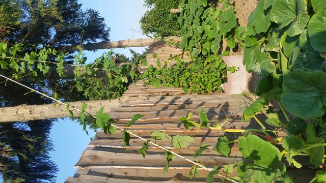 20150701_192643.jpg