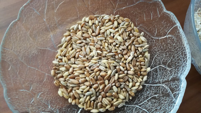 IMG_20220217_145543.jpg (2.48 MiB) 1517 mal betrachtet 6-Kornmischung ungeschrotet