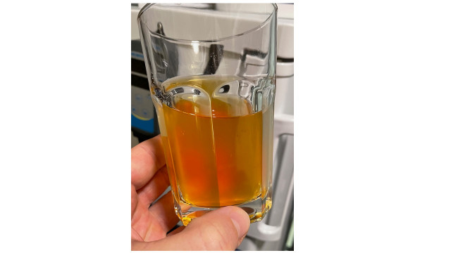 Jungbier