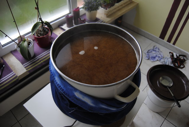 Hopfenkochen
