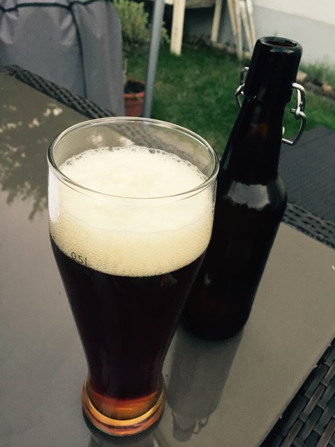 2. Bierprobe nach ca. 2 Wochen