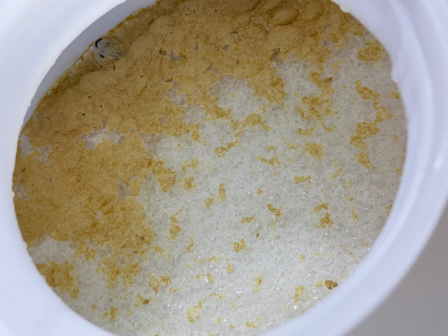 IMG_8544.jpg (969.02 KiB) 8553 mal betrachtet Gärung