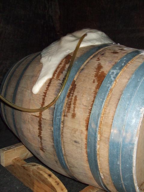 K640_InsHolz11.JPG