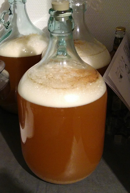 Fermentation Tag 1.jpg