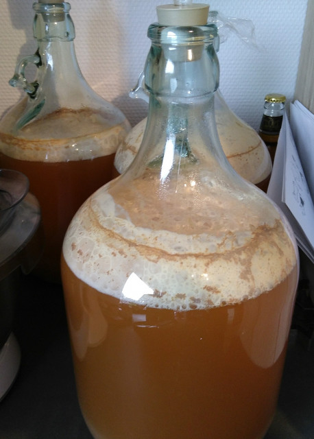 Fermentation Tag 3.jpg