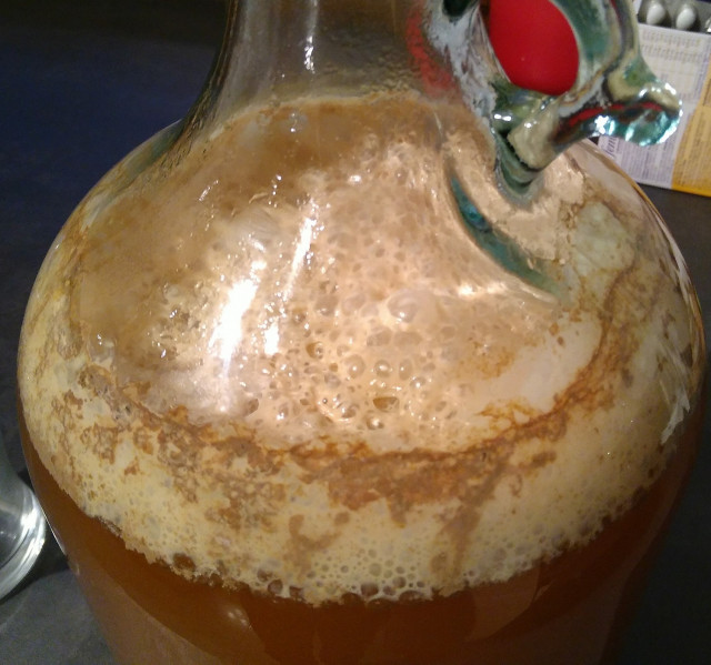 Fermentation Tag 4.jpg