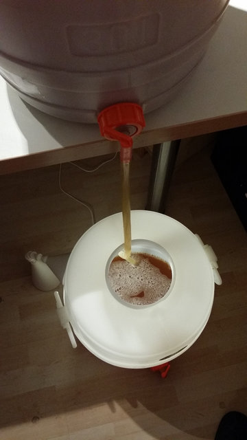 Das Jungbier wird in die Vorgelegte Speise eingeleitet.