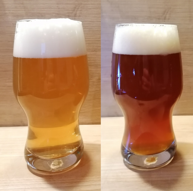 böhmisches Pils und Dark Session IPL