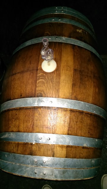 IMAG0634.jpg