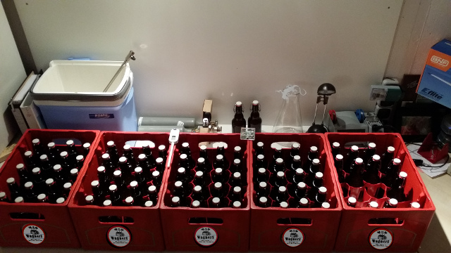 Die Ausbeute: 95 Flaschen. Das macht ca. 31l. Klasse!
