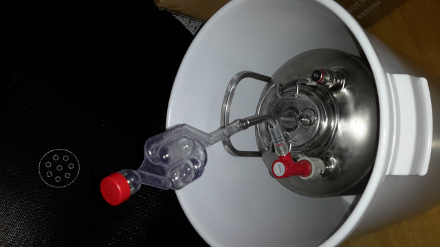 20220429_065150.jpg