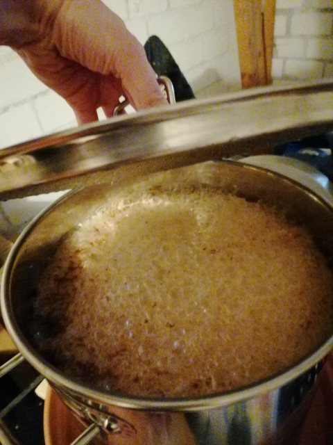 IMG_20220607_194020.jpg (288.41 KiB) 8991 mal betrachtet Eichenrauchbier - Hauptgärung