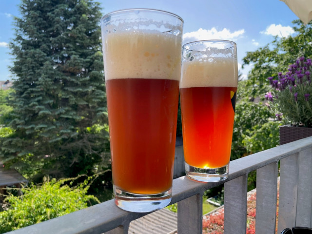 Boston Dark Ale