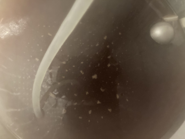 2CA63245-59E6-4752-B1B7-74EC5CCFED36.jpeg (3.69 MiB) 1683 mal betrachtet Blick auf Würze durch Fermzilla