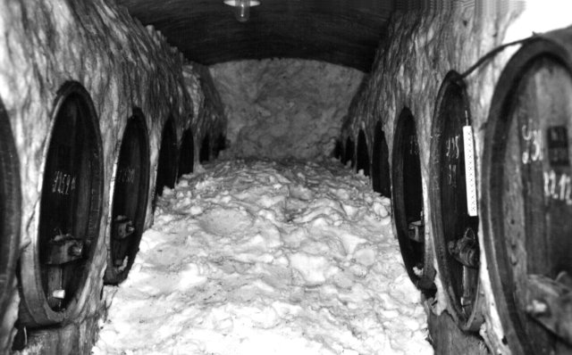 Eiskeller©BB.jpg
