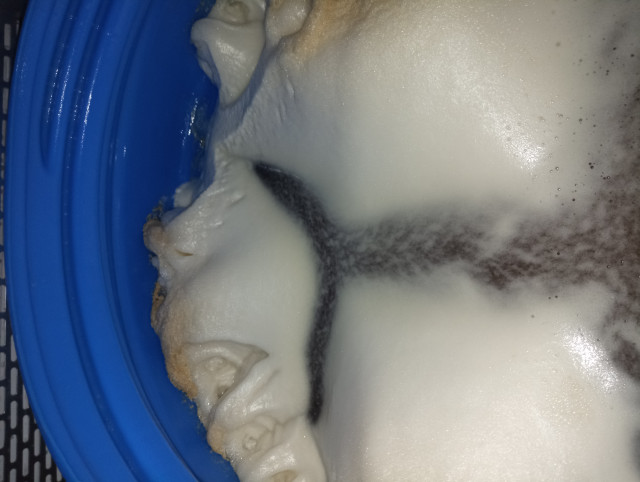 IMG_20220620_121936.jpg (4.41 MiB) 7967 mal betrachtet Wiener Lager