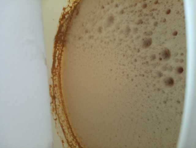 IMG_20220620_122040.jpg (2.11 MiB) 7967 mal betrachtet Tripel