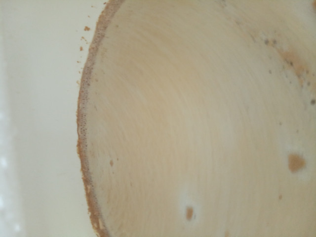 IMG_20220620_122107.jpg (1.78 MiB) 7967 mal betrachtet Saison