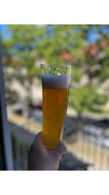 helles glas gebogen.jpg